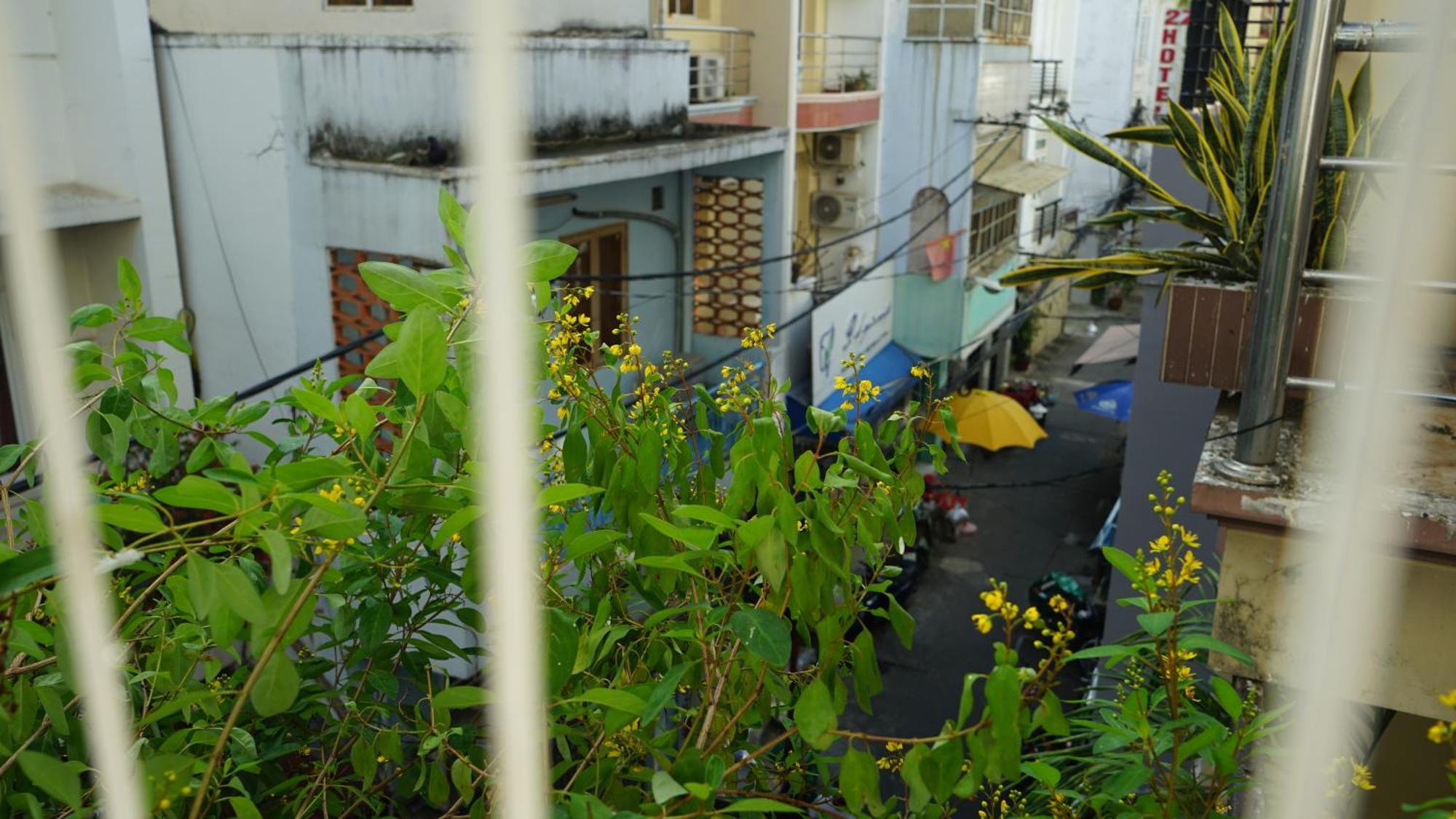 Maiam Homestay Ho Şi Min Dış mekan fotoğraf